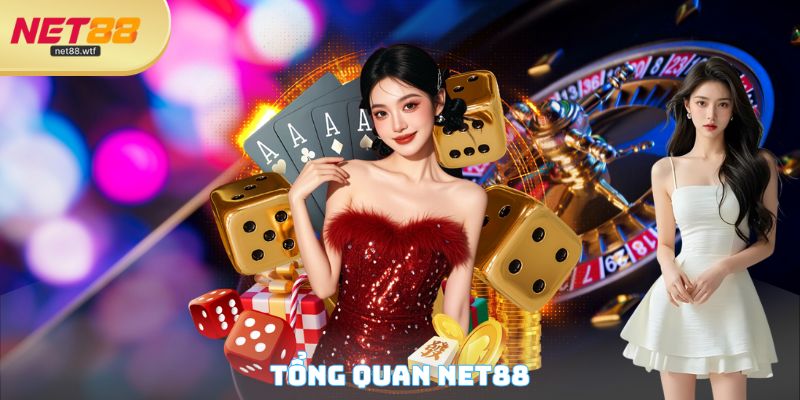 Tổng quan NET88